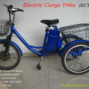 Triciclo eléctrico ECT-530